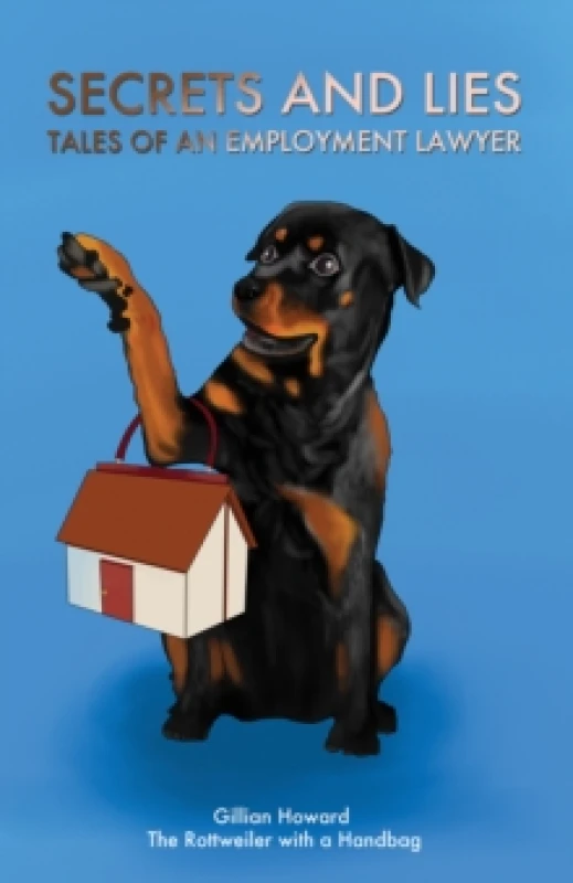 Image of Secrets and Lies - Tales of an Employment Lawyer Paperback / softback