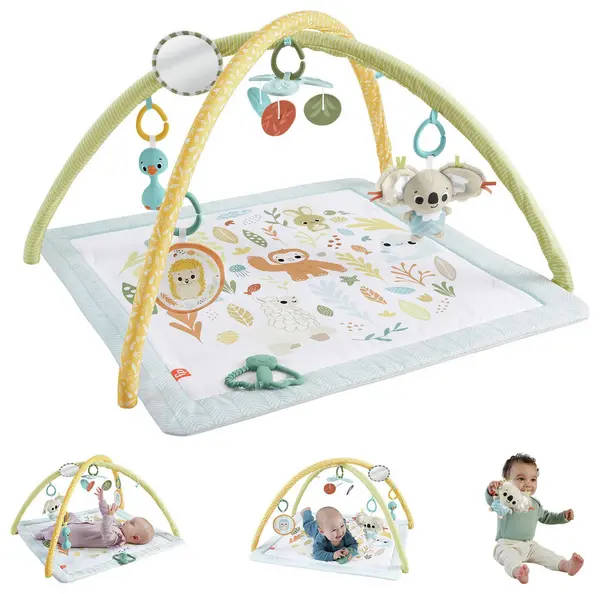 Image of Fisher-Price Simply Senses Newborn Baby Gym
