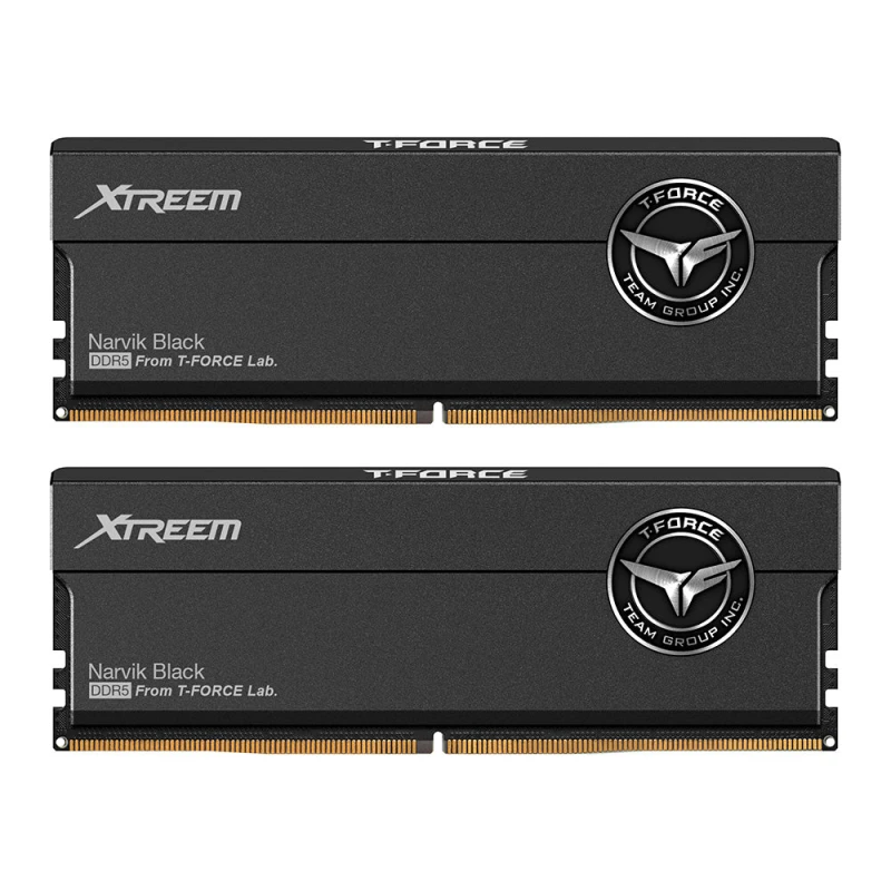 Image of Team Group Team Group XTREEM memory module 48 GB 2 x 24 GB DDR5 ECC FXD54876C36EDC1