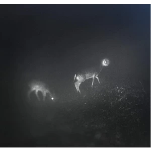 Image of Mumdance WIFE Bliss Signal - Bliss Signal Vinyl