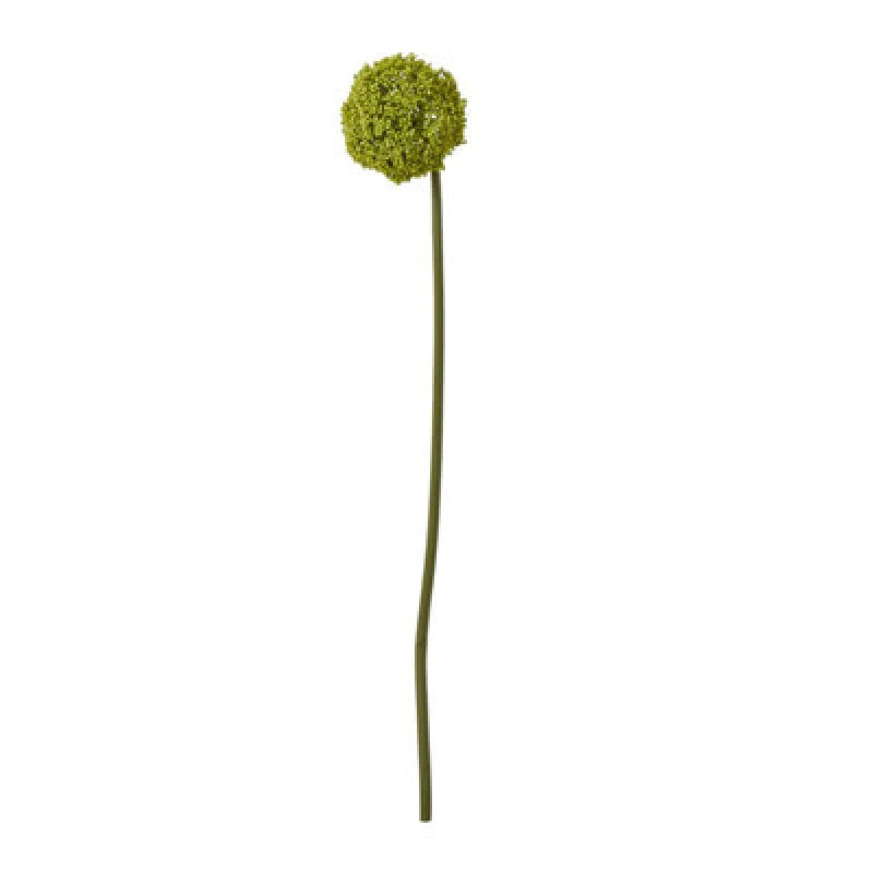 Image of Green Allium Stem