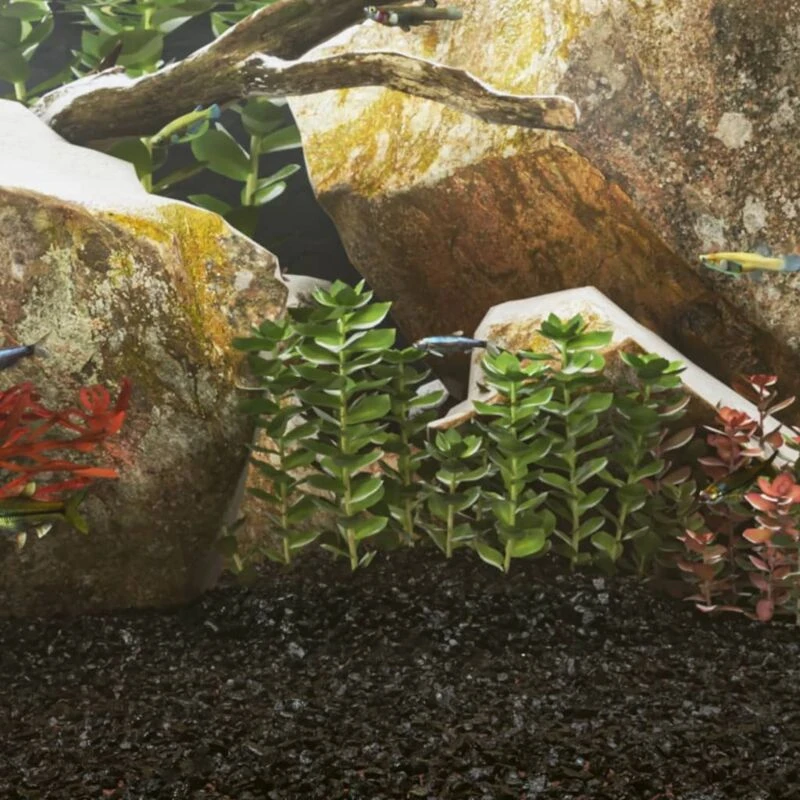 Image of vidaXL Aquarium Sand 25 kg Black 0.2-2 mm, Black 155294