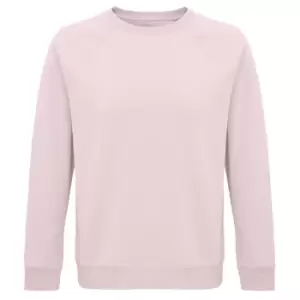 Image of SOLS Unisex Adult Space Organic Raglan Sweatshirt (S) (Pale Pink)