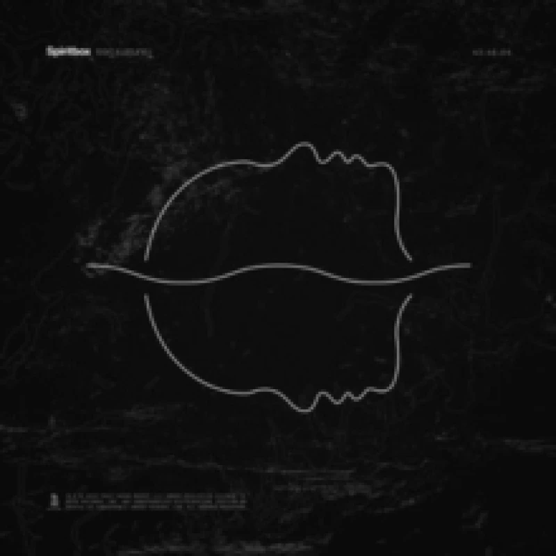 Image of Tsunami Sea Vinyl