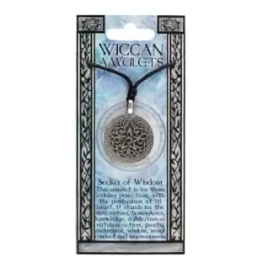 Image of Seeker of Wisdom Wiccan Amulet