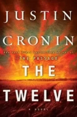 Image of twelve a novel