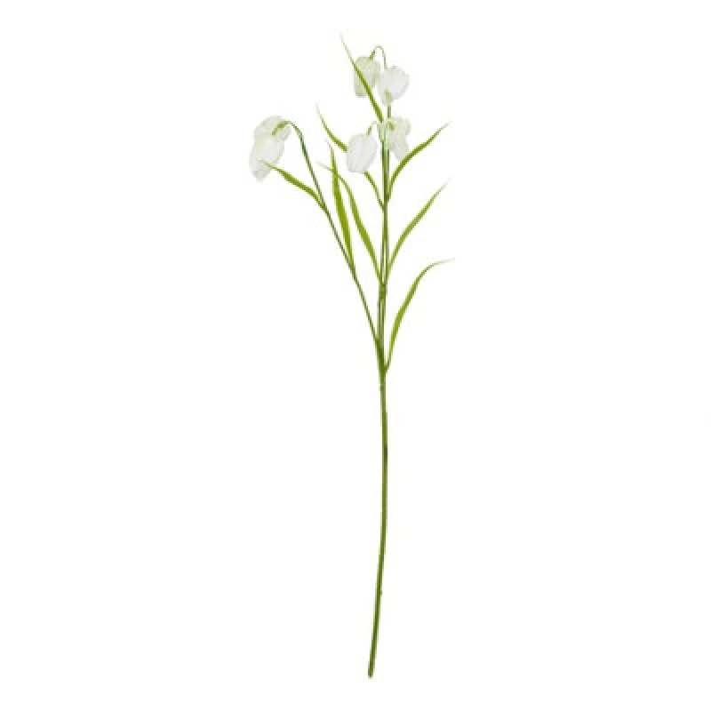 Image of The Natural Garden Collection White Fritillaria Stem