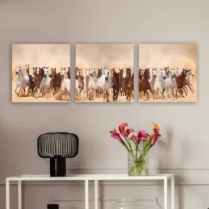 Image of P327467 Multicolor Decorative Canvas Painting (3 Pieces)