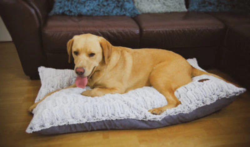 Image of Snug & Cosy Pets Snug And Cosy Novara Grey Lounger 90Cm X 60Cm