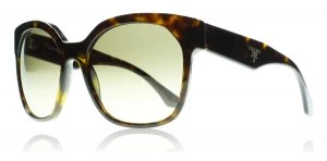 Image of Prada 10Rs Voice Sunglasses Havana 2AU3D0 57mm