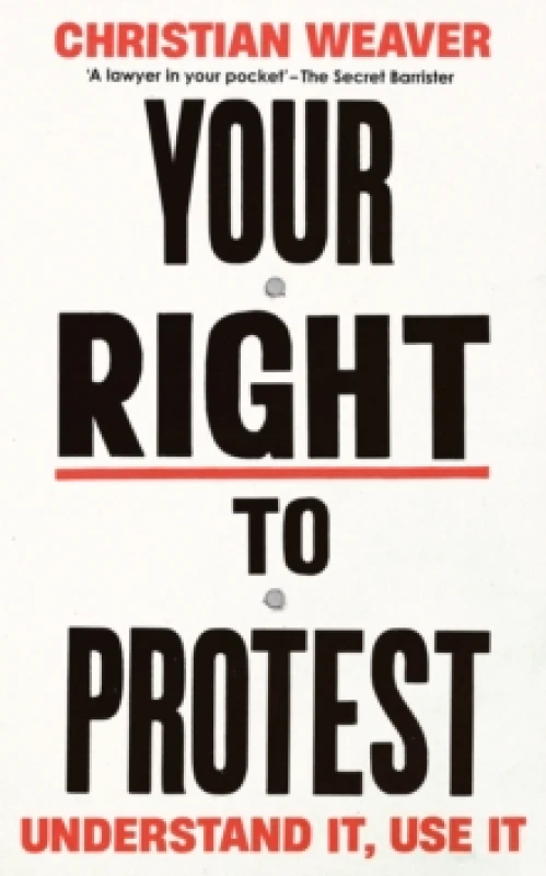 Image of Your Right to Protest : Understand It, Use It Paperback / softback