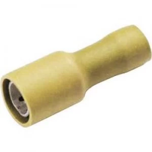 Image of Bullet receptacle 4 mm2 6 mm2 Pin diameter 5 mm