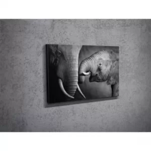 Image of DC025 Multicolor Decorative Canvas Painting