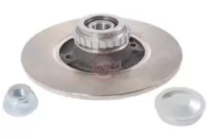 Image of MASTER-SPORT Brake disc Rear Axle 2401080109B-PCS-MS Brake rotor,Brake discs RENAULT,CLIO II (BB0/1/2_, CB0/1/2_),MEGANE III Grandtour (KZ0/1)