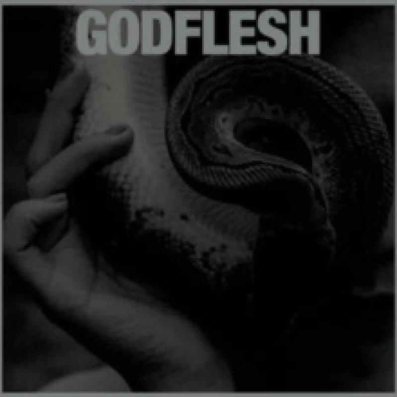 Image of Godflesh Purge LP multicolor Onesize Unisex