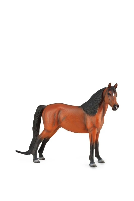 Image of CollectA Morgan Bay Horse Toy Brown unisex