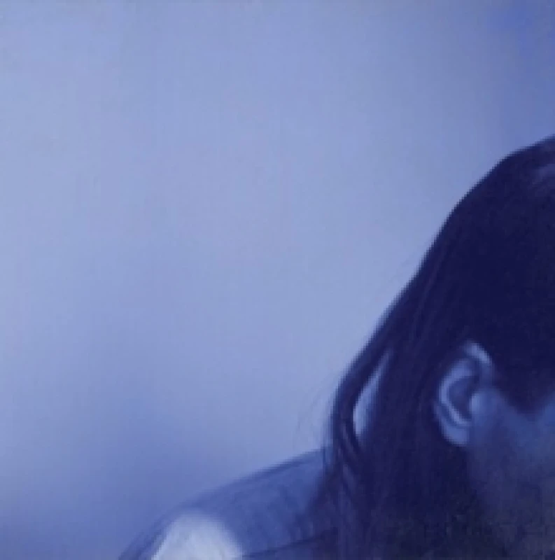 Image of The Stars Are God's Bullet Holes Vinyl