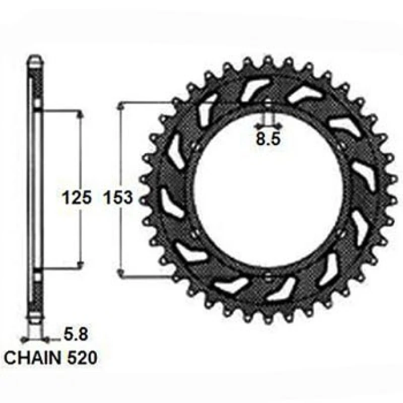Image of SUNSTAR 1-3559-48 Chain Sprocket Steel Chain Sprocket (5479)