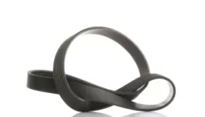 Image of SKF V-ribbed belt FORD,PEUGEOT,TOYOTA VKMV 6PK966 5750QH,5750XF,9800453180 1685812,1701514,AV6Q6C301AA,AV6Q6C301EA,Y65015909A,5750QG,5750XF,9800453180