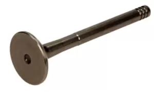 Image of AMP Exhaust Valve VW,AUDI,FORD PVWG028-A-0-N 046109611C,046109611E,046109611F 046109611C,046109611E,046109611F,1669772,1669772,046109611C,046109611E