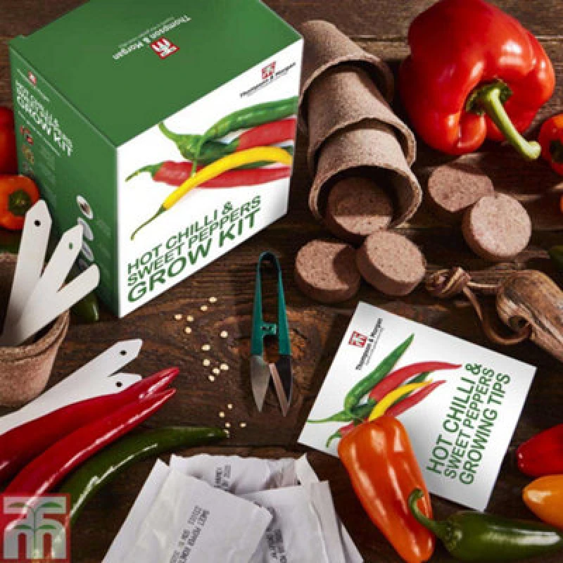 Image of Thompson & Morgan Seed Grow Kit Red Hot Chilli + Sweet Peppers - Ideal Gift