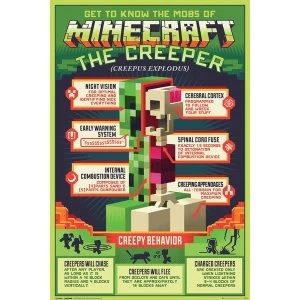 Image of Minecraft Creepy Behavior Maxi Poster