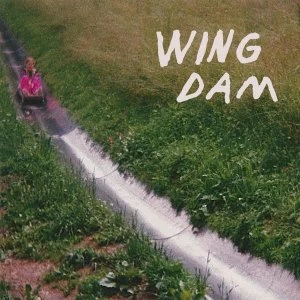 Image of Wing Dam - Glow Ahead Vinyl