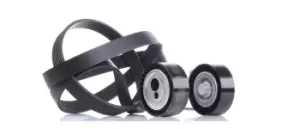 Image of INA V-ribbed belt set 529 0017 10 Serpentine belt kit,Auxiliary belt kit FIAT,PEUGEOT,CITROEN,Ulysse (179_),Scudo Kastenwagen (220_)