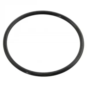 Image of Gasket Thermostat O-Ring 10258 by Febi Bilstein