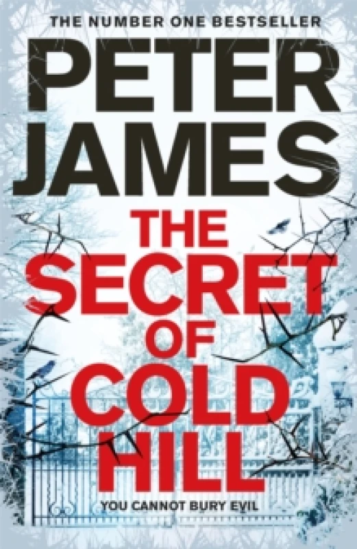 Image of The Secret of Cold Hill Hardback