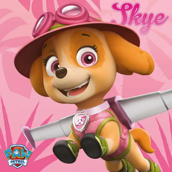 Image of Paw Patrol (Skye) 40x40 Canvas DC95978