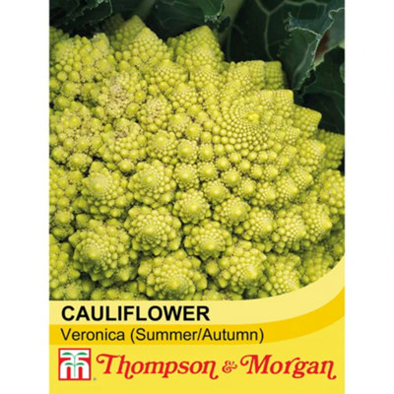 Image of Thompson & Morgan Cauliflower (Romanesco) Veronica 1 Seed Packet (20 Seeds)