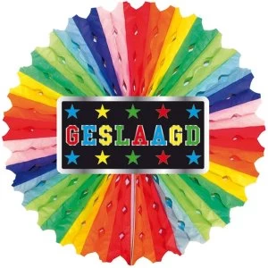 Image of Honeycomb Fan (Multicoloured)