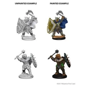 Image of Nolzur's Marvelous Unpainted Minis: Dragonborn Male Paladin