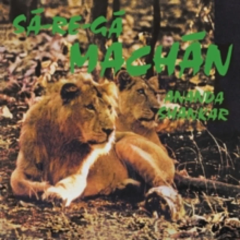 Image of S-Re-G Machn Vinyl