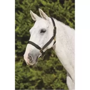 Image of Kincade Deluxe Webbed Headcollar with Leather Crown - Black