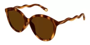 Image of Chloe Sunglasses CH0087S 005