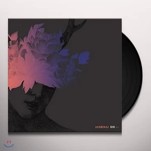 Image of Jambinai - ???? Vinyl