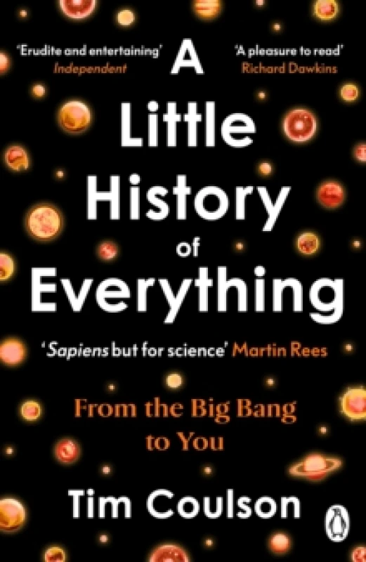 Image of A Little History of Everything : From the Big Bang to You Paperback / softback