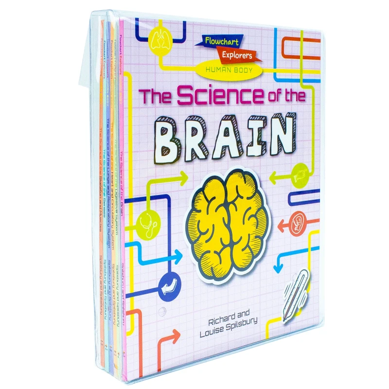 Image of Flowchart Explorers Human Body STEM 6 Science Books Set (Brain, Digestive, Heart, Lungs) Richard and Louise Spilsbury Books