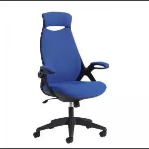 Image of Tuscan high back fabric managers chair with head support - blue