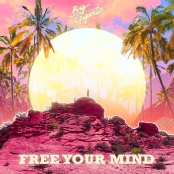 Image of Big Gigantic - Free Your Mind Vinyl