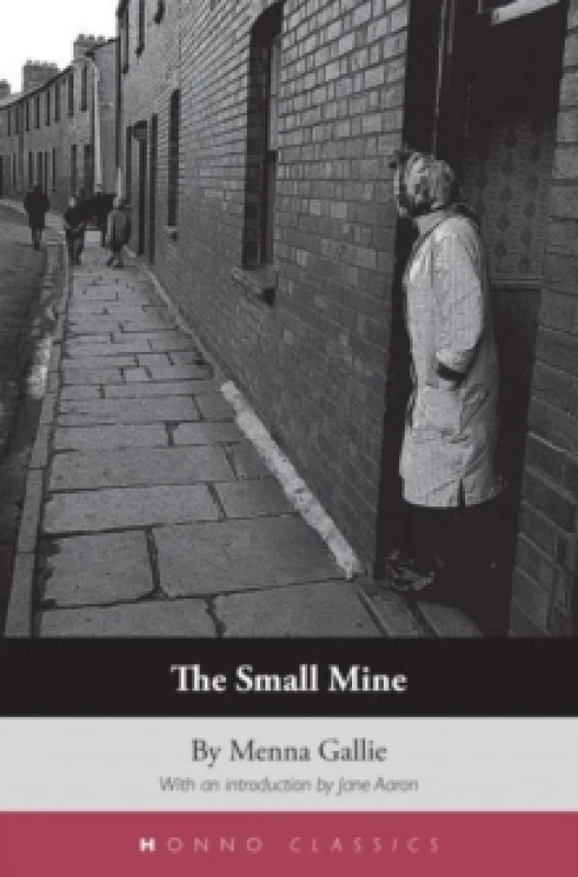 Image of The Small Mine Paperback / softback