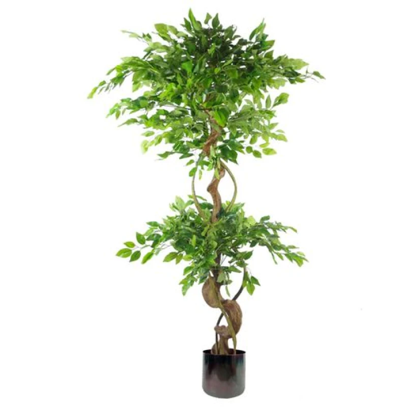 Image of Leaf 150cm Twisted Trunk Artificial Japanese Fruticosa Ficus Tree Rainbow Planter