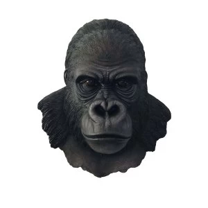 Image of Kong Bust