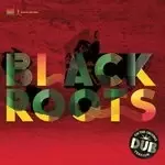 Image of Black Roots - On the Ground in Dub (Music CD)