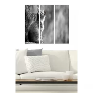 Image of MDF2810383 Multicolor Decorative MDF Painting (3 Pieces)