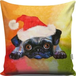 Image of A13041 Multicolor Cushion