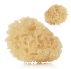Image of Natural Sponges (Twin Pack)