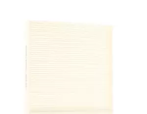 Image of RIDEX Pollen filter FORD,MAZDA 424I0363 1718237,19N619,AA AB39,AB3919N619A,AB3919N619AA,UC9P61P11,UCY061P11